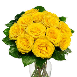 Yellow Roses - Florida Bloom