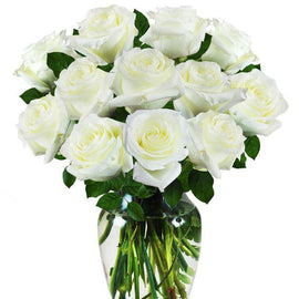 White Roses - Florida Bloom