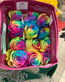 Rainbow Roses - Florida Bloom