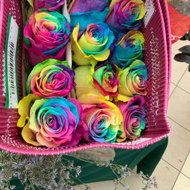 Rainbow Roses - Florida Bloom