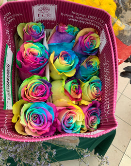 Rainbow Roses - Florida Bloom